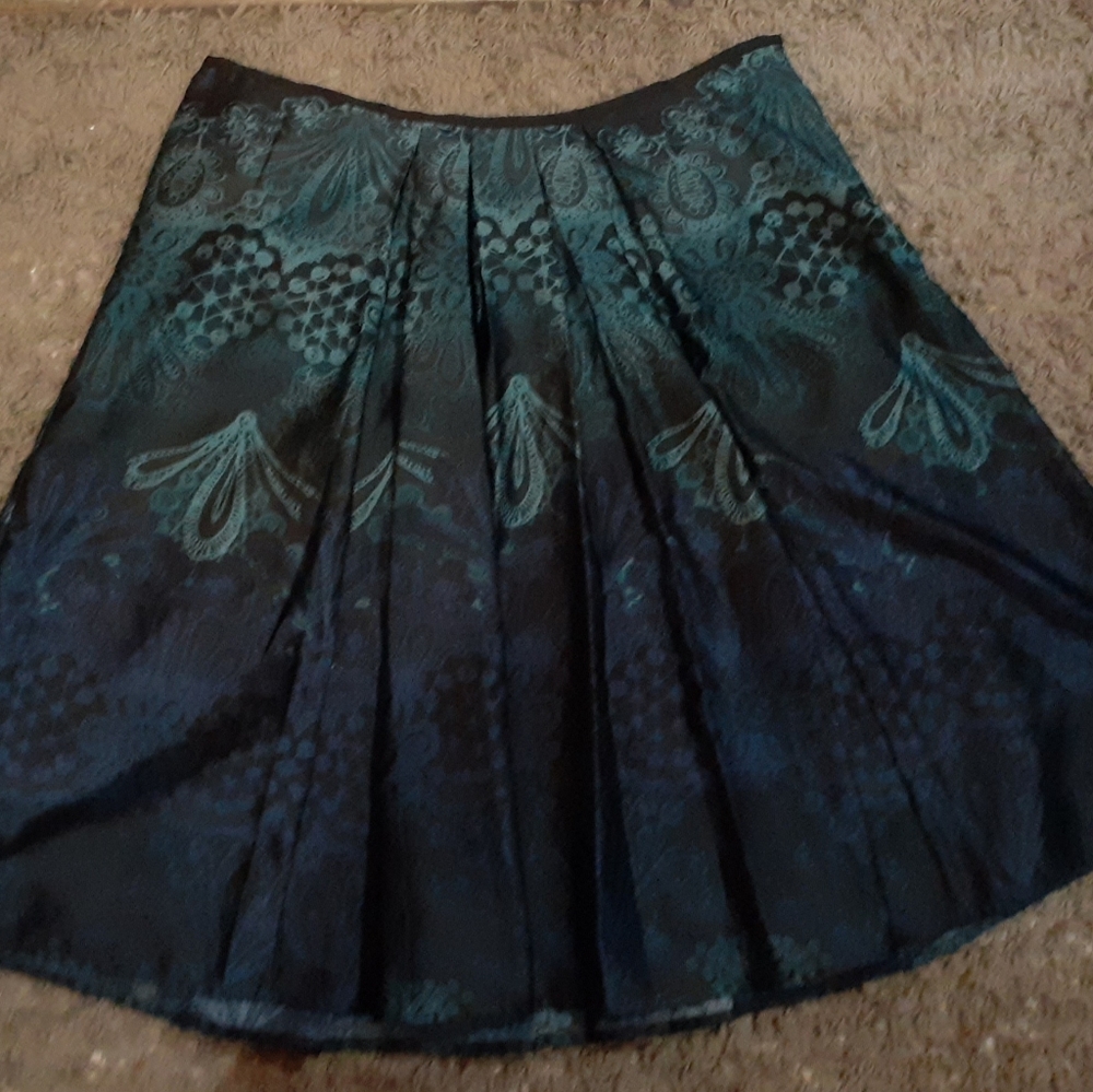 Ombre Skirt